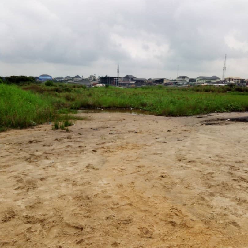 whatsapp image 2025 08 25 at 14.21.59 (3)