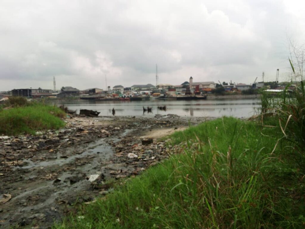 whatsapp image 2025 08 25 at 14.22.00 (1)