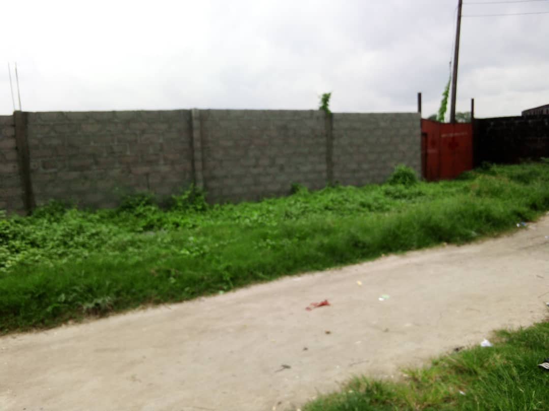 whatsapp image 2025 09 01 at 21.35.20 (1)