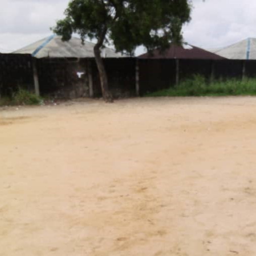 whatsapp image 2025 09 01 at 21.35.21