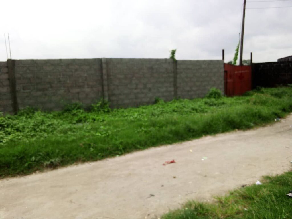 photo 2025 08 14 13 15 28