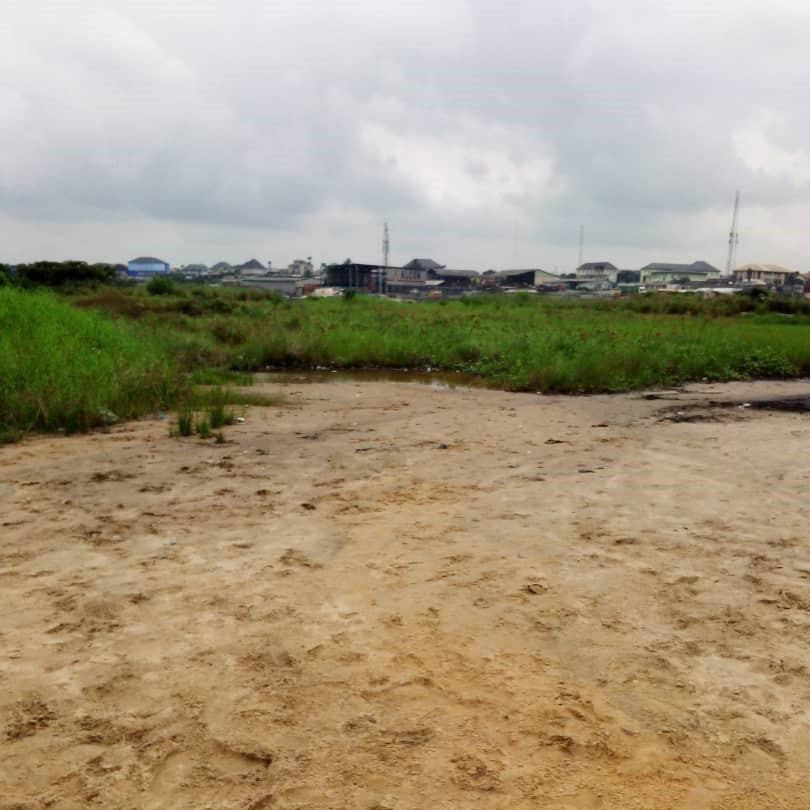 whatsapp image 2025 09 01 at 21.35.21 (1)